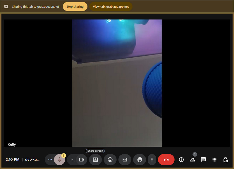 stop recording the meeting