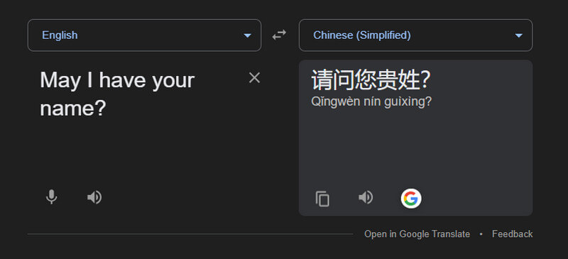 visit google translate